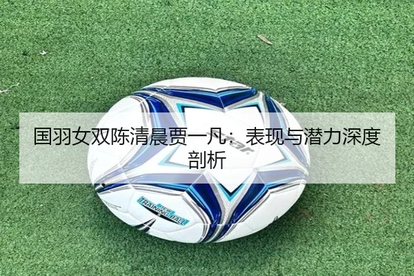 国羽女双陈清晨贾一凡：表现与潜力深度剖析